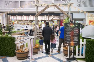 Sustainable Living Festival returns to Erina Fair