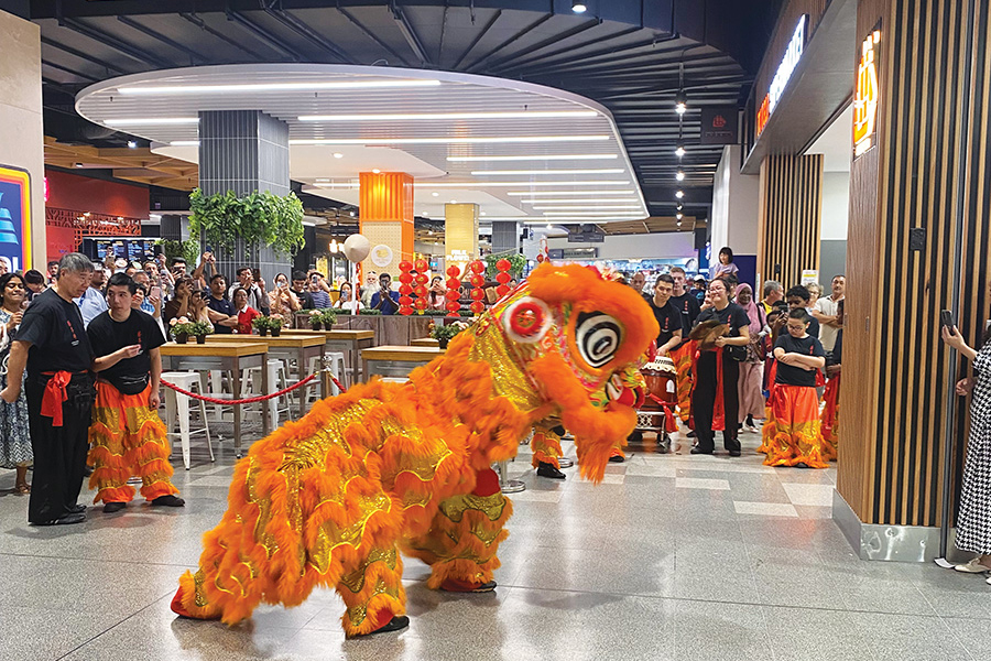 SCN Profile: REGION GROUP