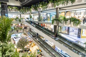 From Small Centres to Big Guns: How Haben Became a Major Player