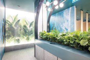 Should form follow function  or inspire delight?