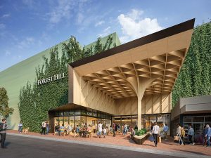 A fresh new era: Transforming Forest Hill Chase