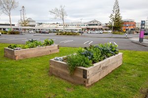 Botany Town Centre turns food waste into community garden