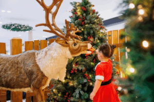 Joy Bringers’ returns as QIC unveils this year’s Christmas campaign