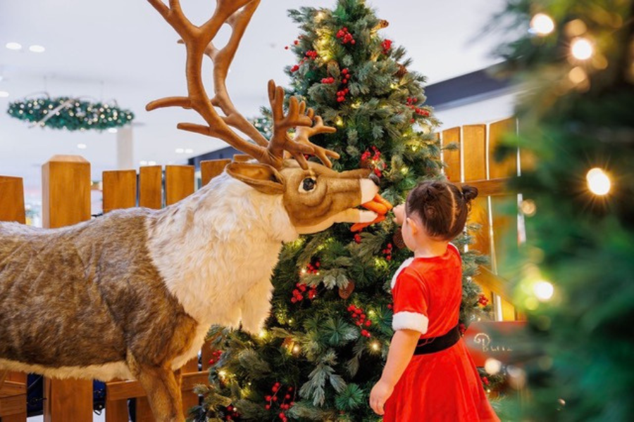 Joy Bringers’ returns as QIC unveils this year’s Christmas campaign