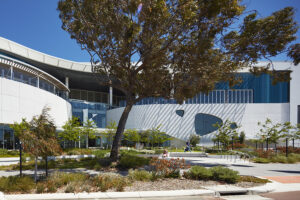 Healthy, wealthy and looking up – the future of retail