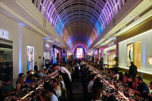 Redefining the role of a shopping centre in a modern city